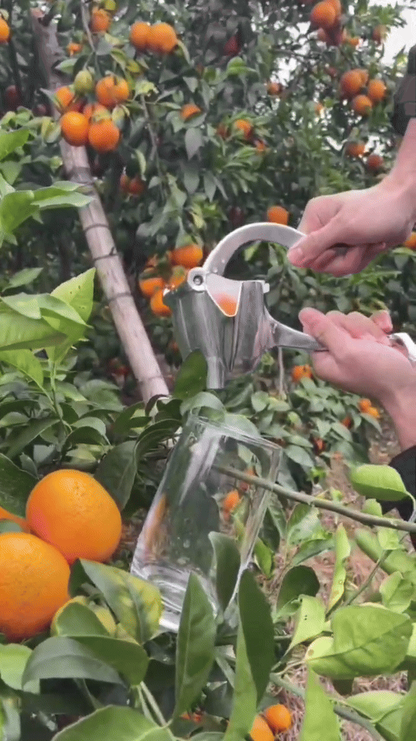 Fruktpress för juice – Effektiv juicepress