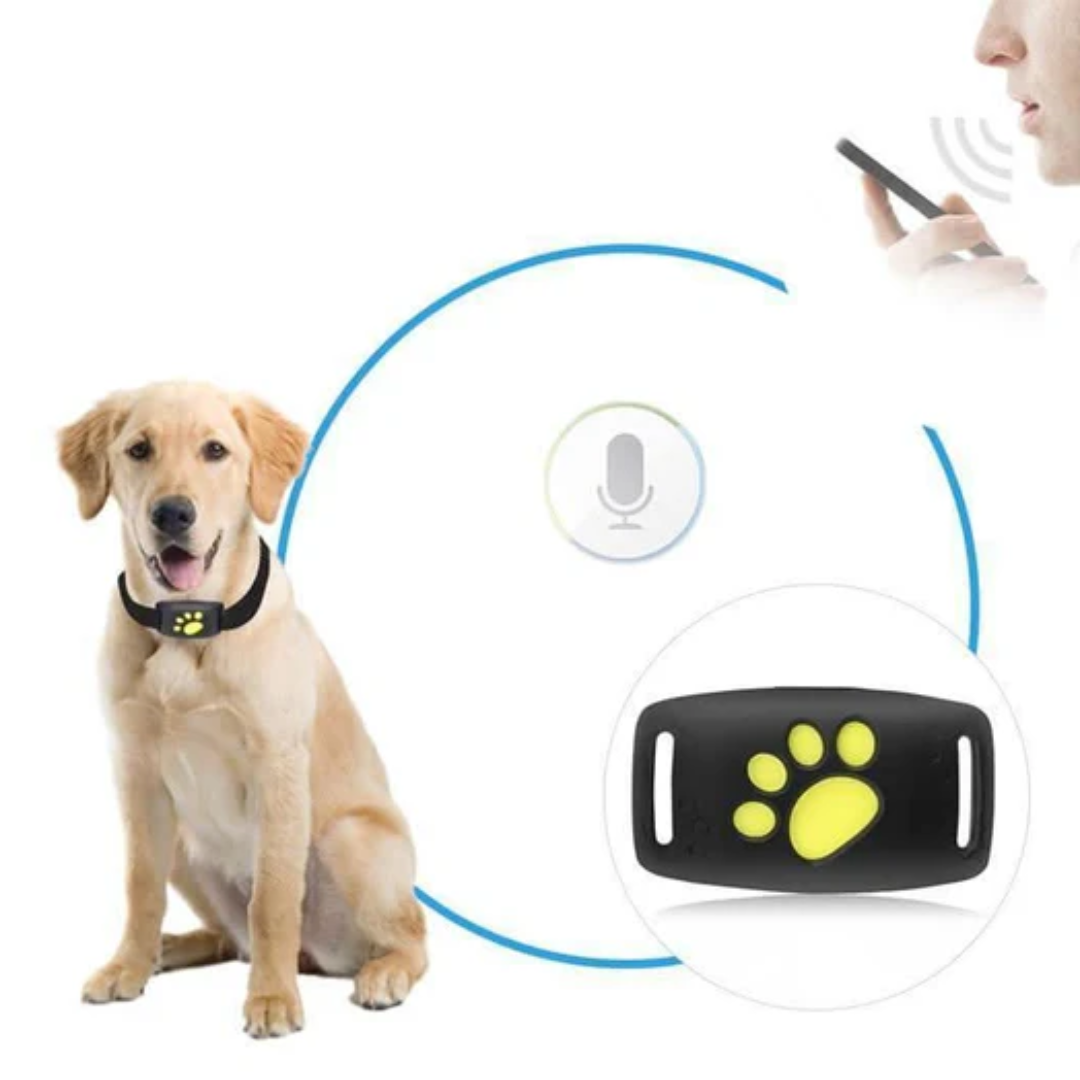 Katte GPS-Tracker uden Abonnement – Kompakt & Brugervenlig