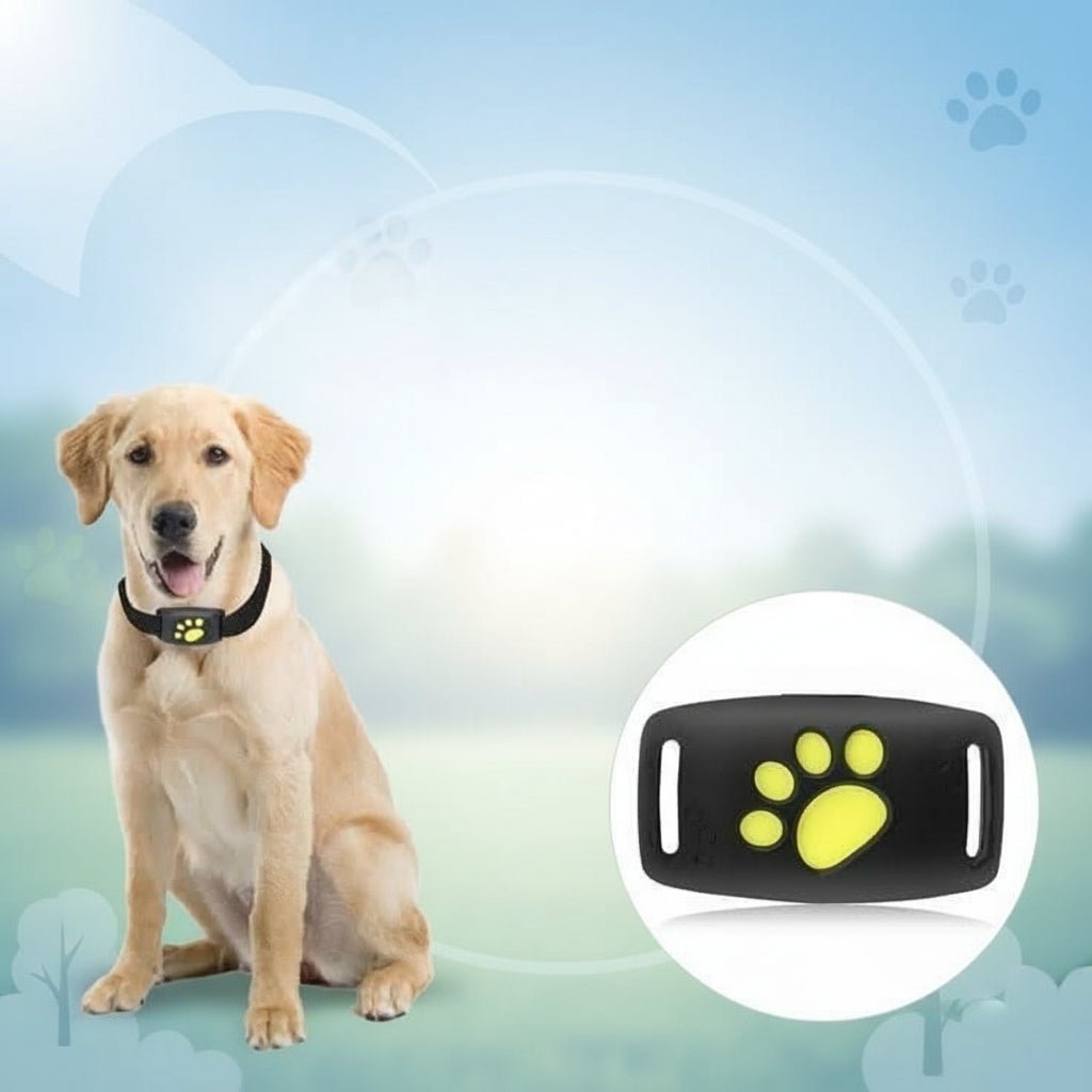 Katte GPS Tracker - Live Sporing Uden Abonnementsgebyr