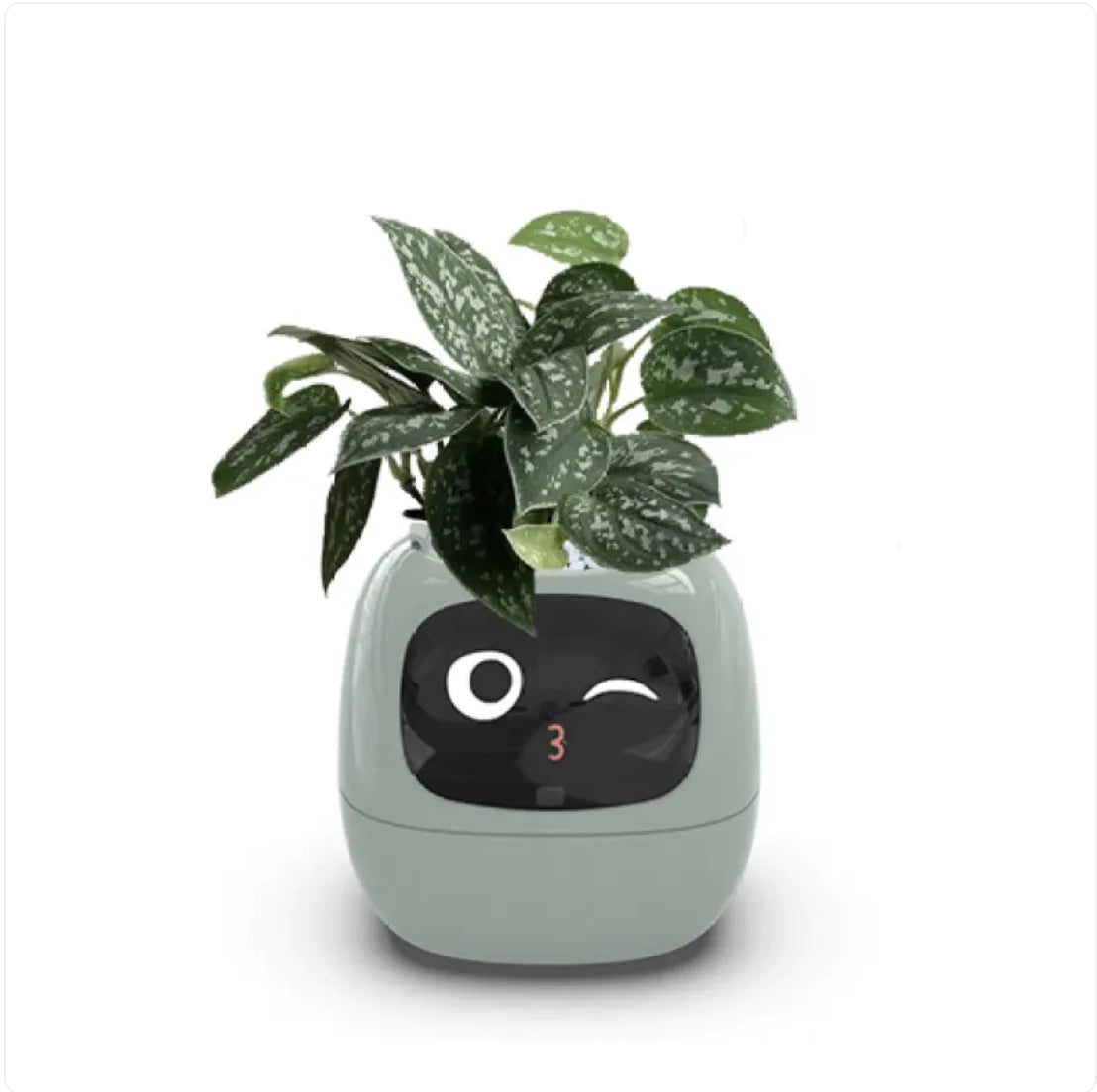 Den Smarte Plante: Din Intelligente Plantepasningspartner!