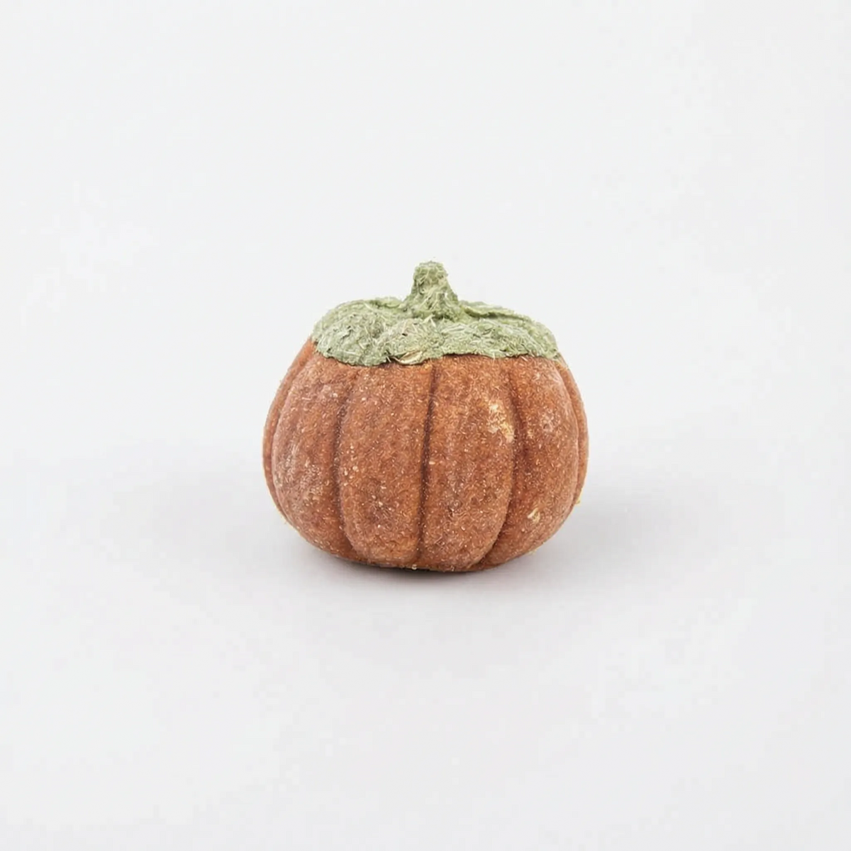 Formet Snack til Gnavere - Crunchify