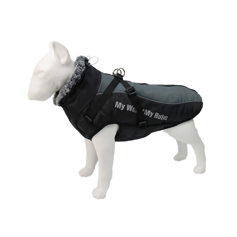 Reflekterande hundjacka med sele – lysande design