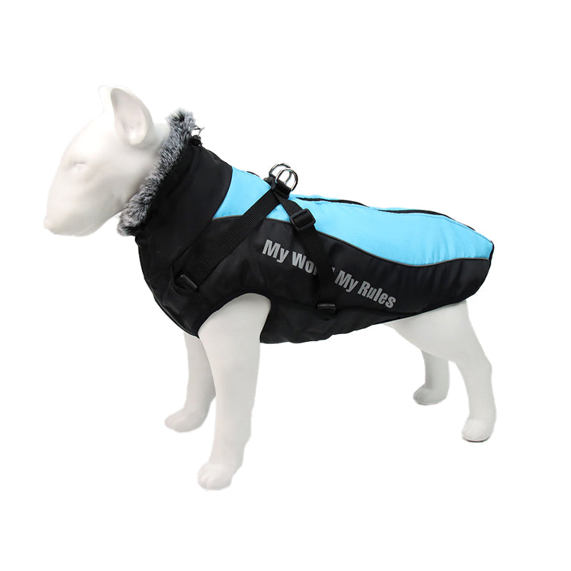 Reflekterande hundjacka med sele – lysande design