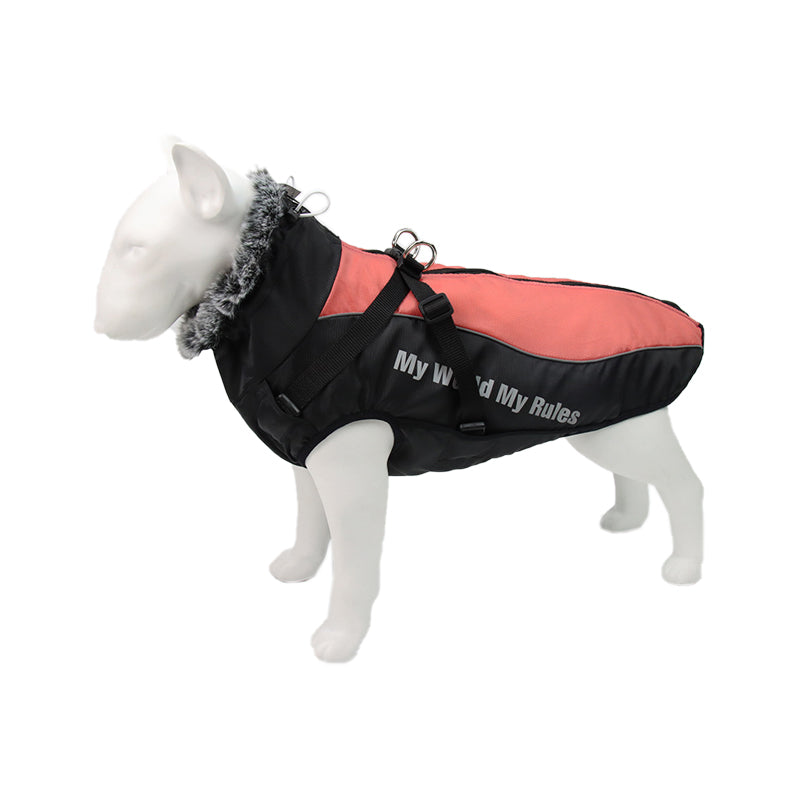 Reflekterande hundjacka med sele – lysande design