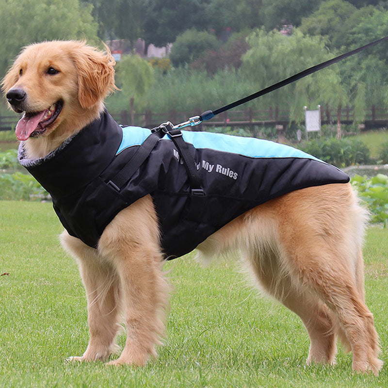 Reflekterande hundjacka med sele – lysande design