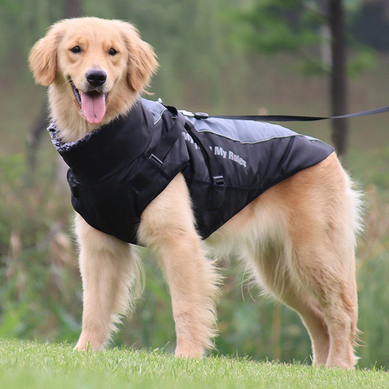 Reflekterande hundjacka med sele – lysande design