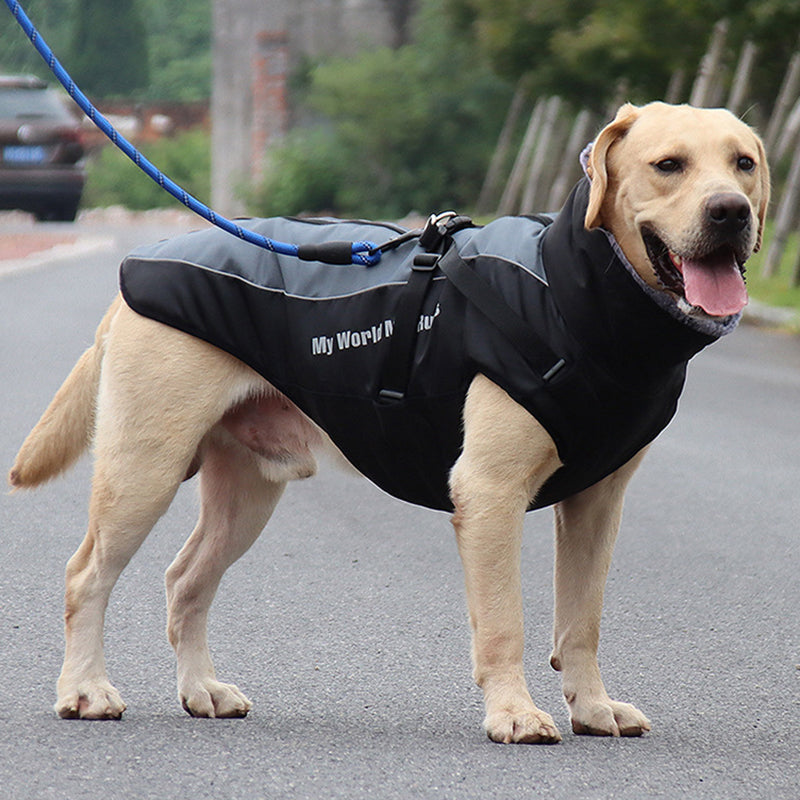 Reflekterande hundjacka med sele – lysande design