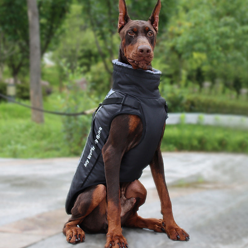 Reflekterande hundjacka med sele – lysande design