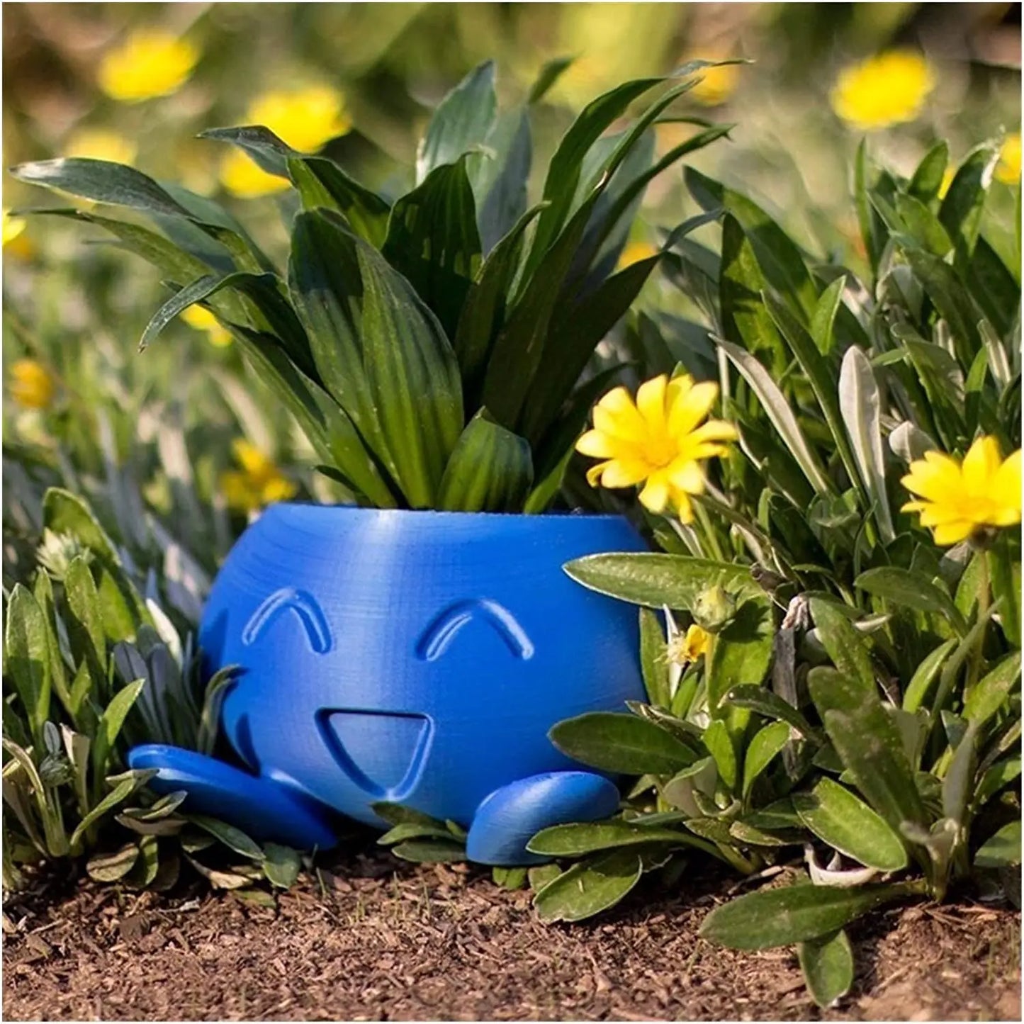 Unik sukkulent plantekrukke - QuirkyPot