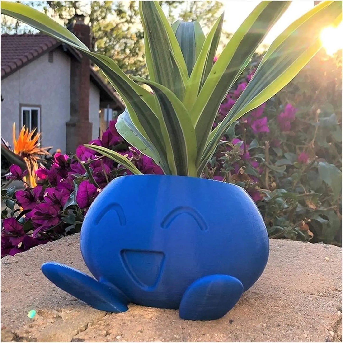Unik sukkulent plantekrukke - QuirkyPot