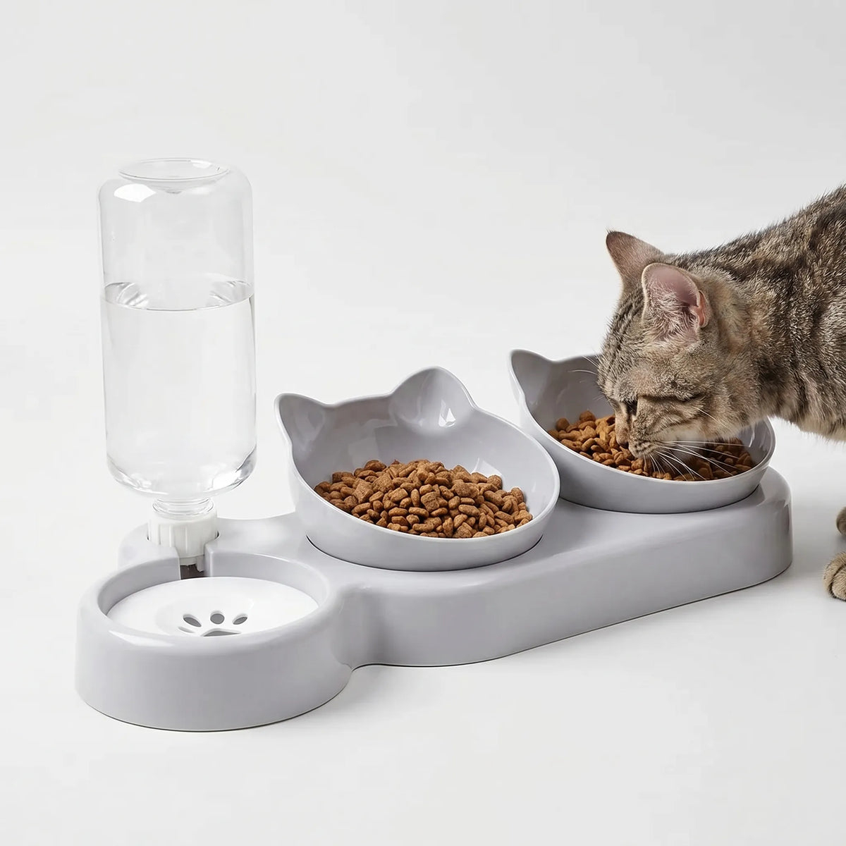 Skrå 3-i-1 Foderskål med Vanddispenser - Pawstation