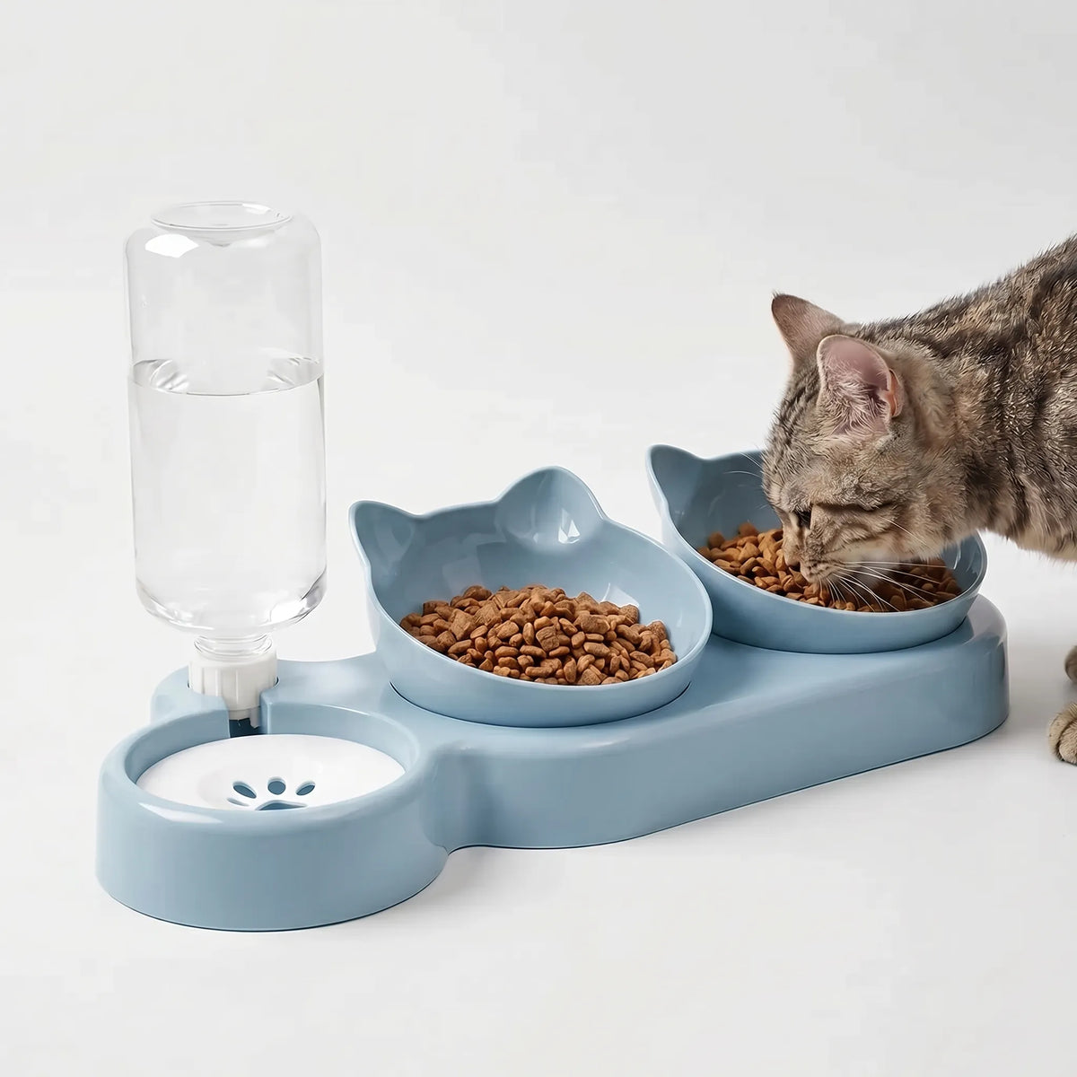 Skrå 3-i-1 Foderskål med Vanddispenser - Pawstation