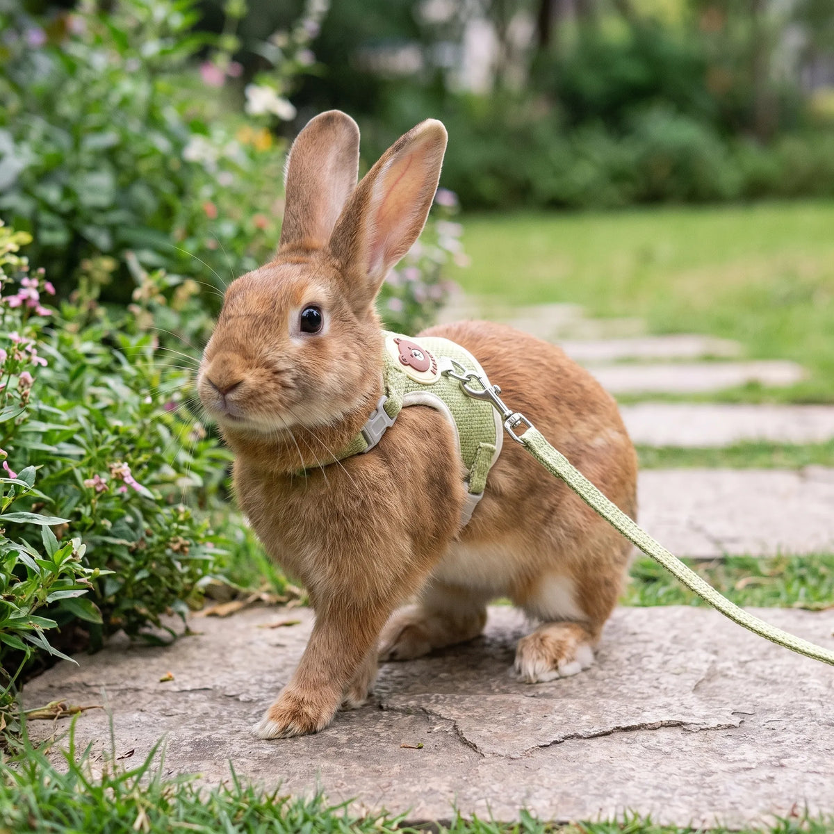 Polstret kaninsele med snor - HoppWalk