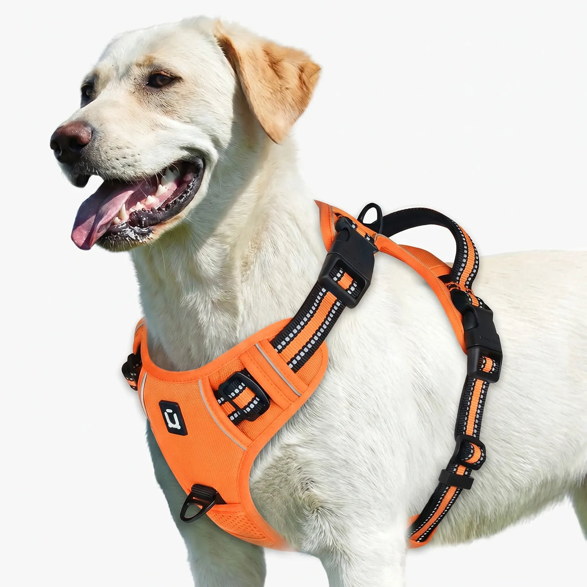 Polstret Hundesele med Zugstop - Komfortabel Brustgarniture