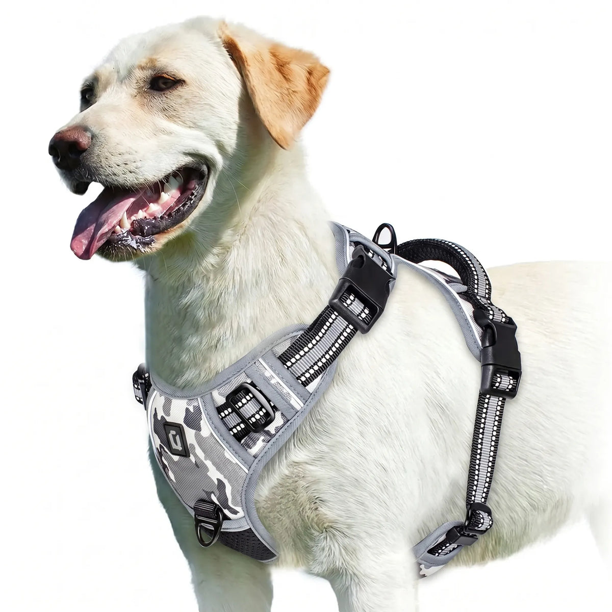 Polstret Hundesele med Zugstop - Komfortabel Brustgarniture