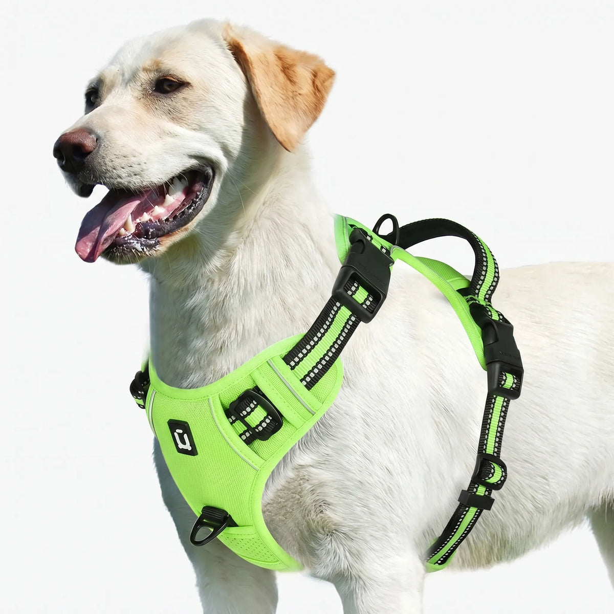 Polstret Hundesele med Zugstop - Komfortabel Brustgarniture