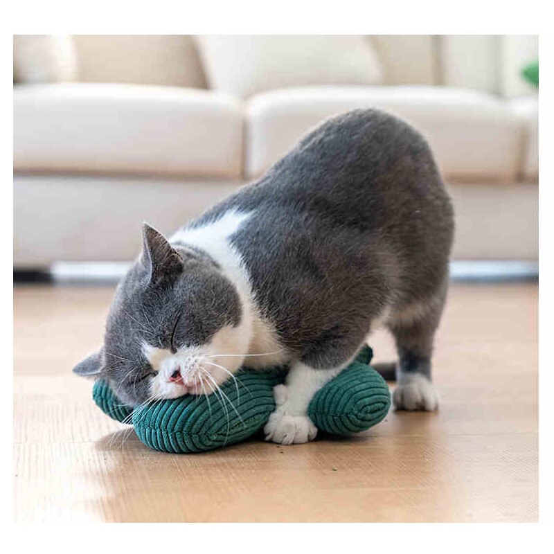 Cactus Pet Tyglegetøj