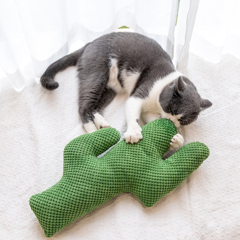 Cactus Pet Tyglegetøj