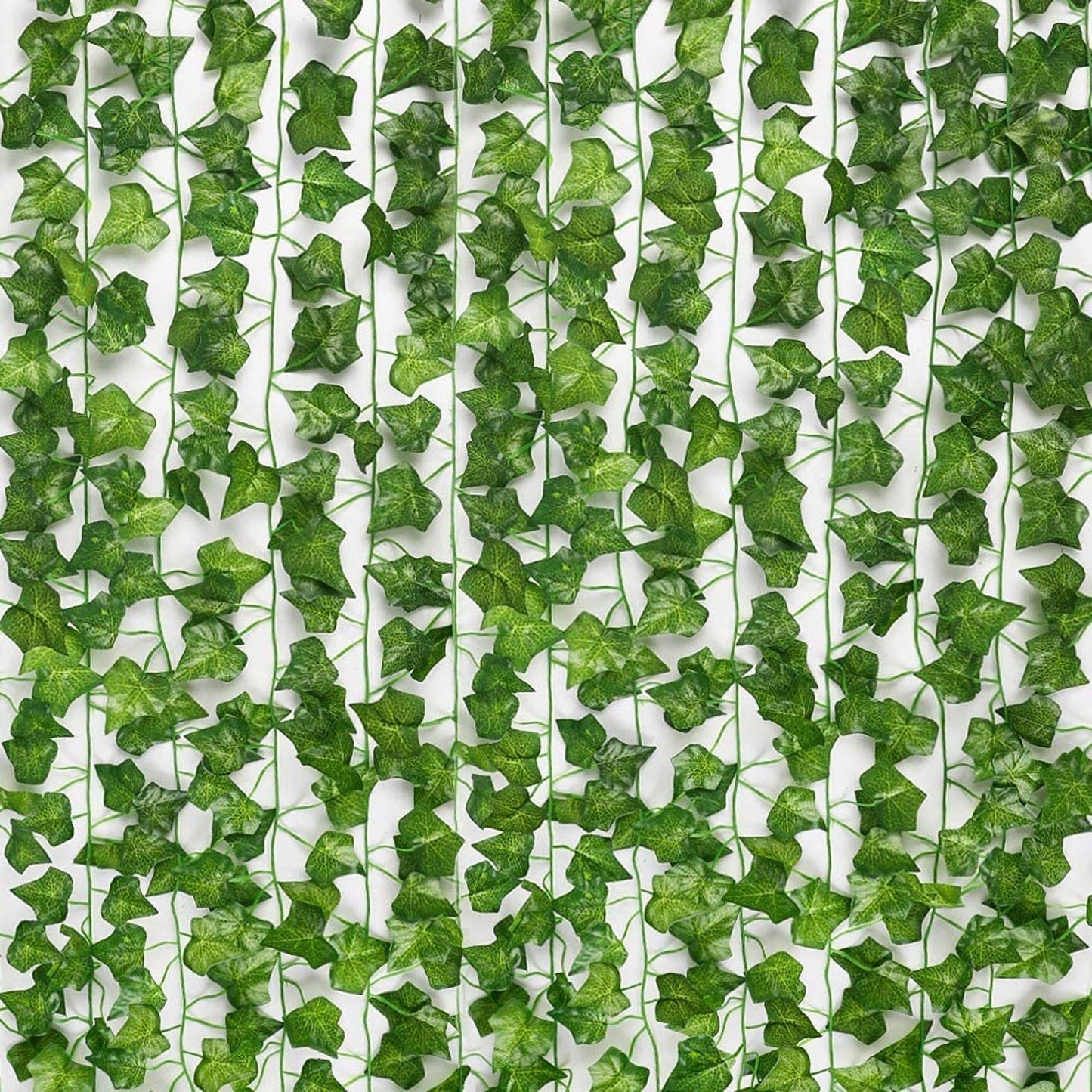Eindhoven Evergreen - Gröna Blad Hela Året Utan Säsongsberoende