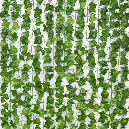 Eindhoven Evergreen - Gröna Blad Hela Året Utan Säsongsberoende