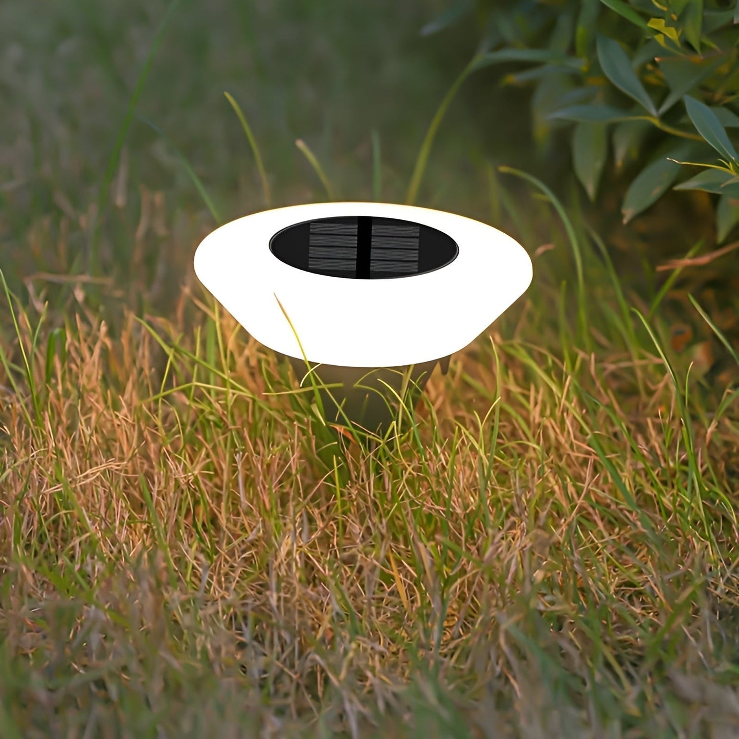 Solcells-LED-trädgårdsbelysning – Energieffektiva gång- och terrasslampor