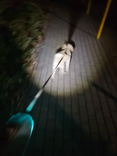 LED Hundesele från NobleStride | Elegant och Säker Dragsele för Hundar