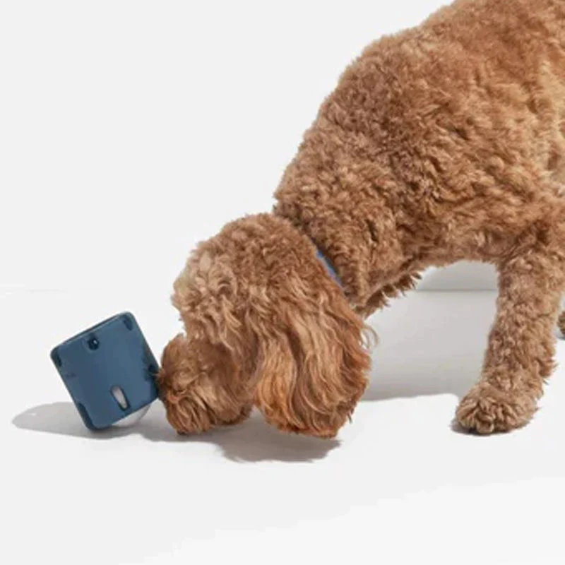 BounceChew - Tandpleje Legetøj til Hunde