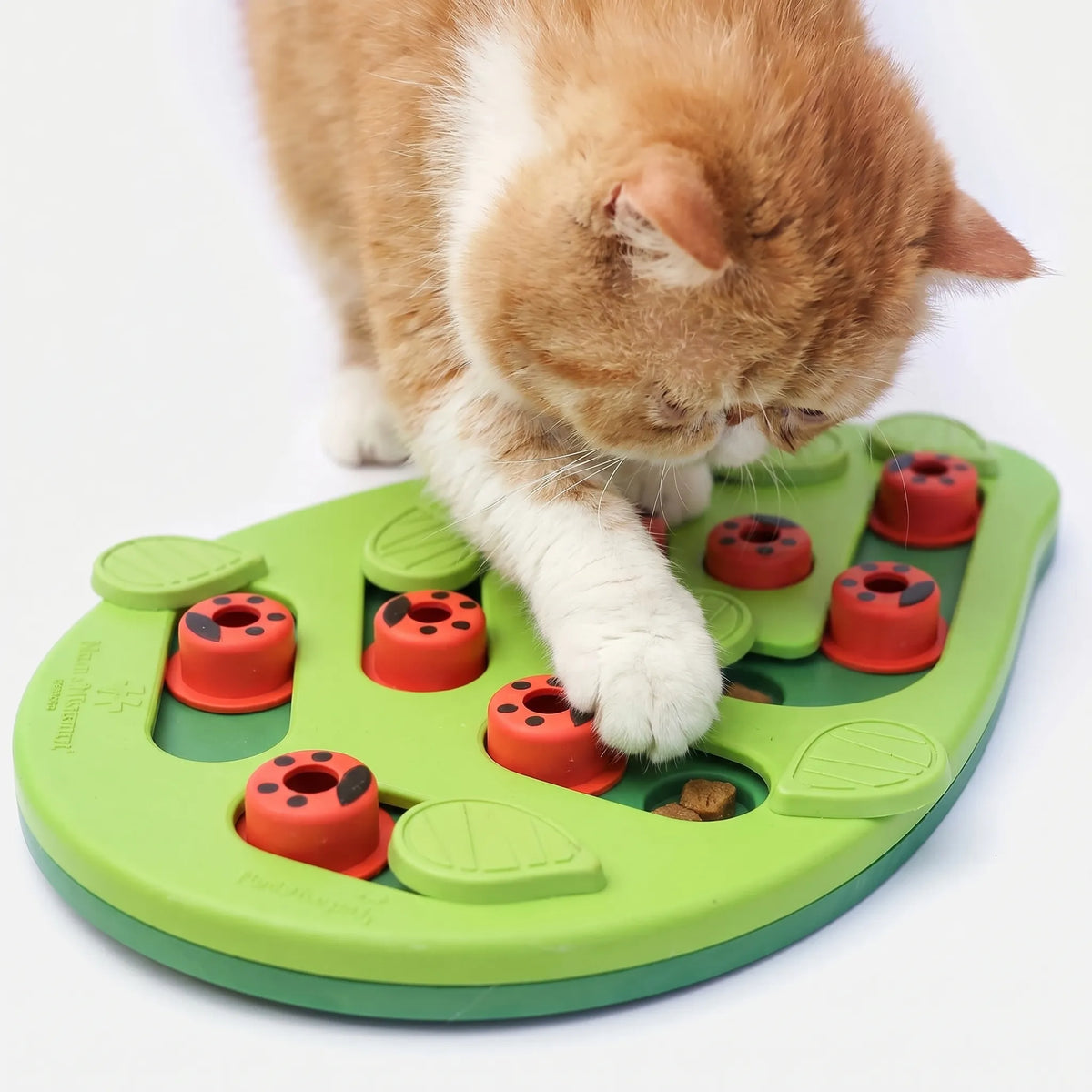 Interaktivt kattebeskæftigelsespuslespil - PawPuzzle