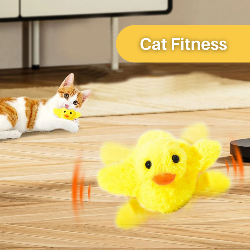 Flot Ente Legetøj til Katte – DuckDash (1+1 GRATIS)
