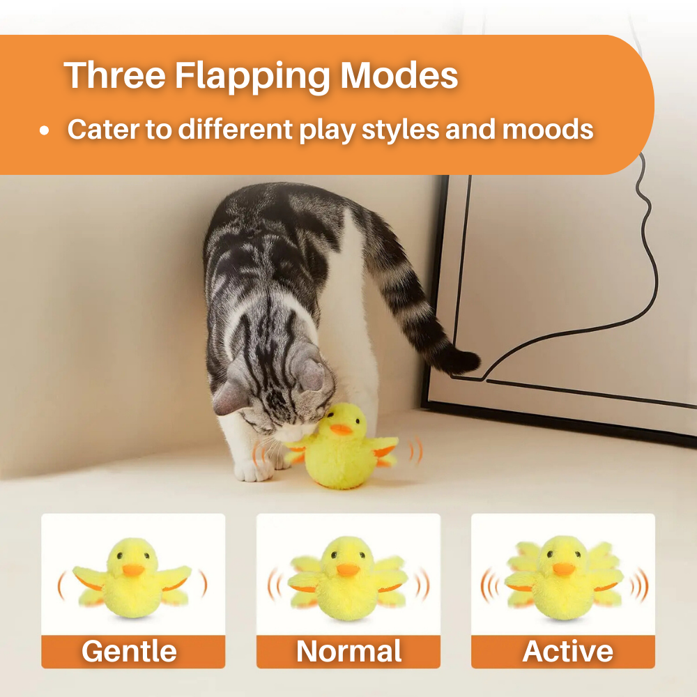 Flot Ente Legetøj til Katte – DuckDash (1+1 GRATIS)