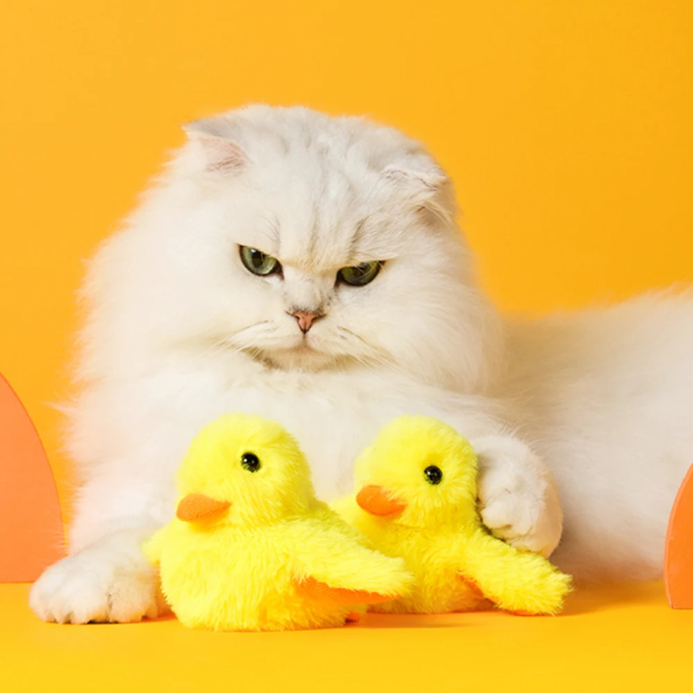 Flot Ente Legetøj til Katte – DuckDash (1+1 GRATIS)