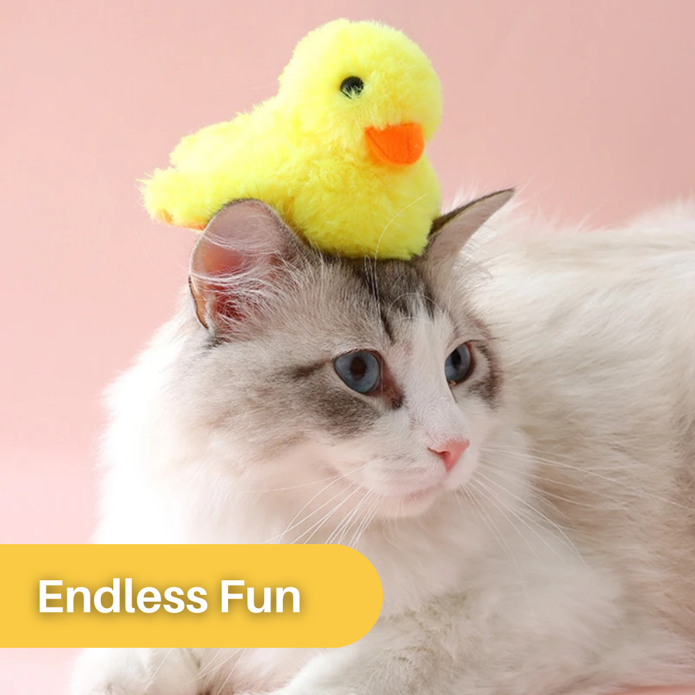 Flot Ente Legetøj til Katte – DuckDash (1+1 GRATIS)
