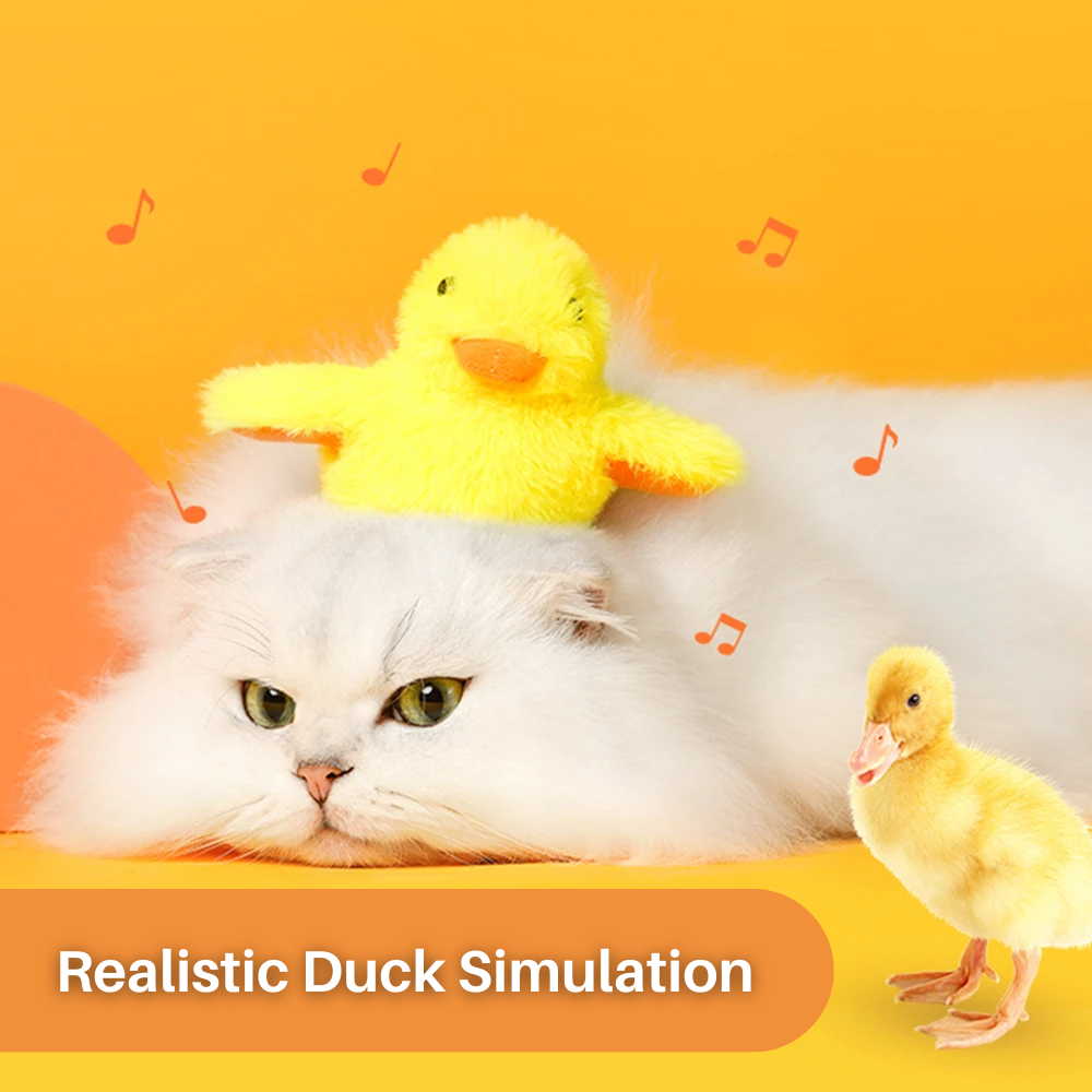 Flot Ente Legetøj til Katte – DuckDash (1+1 GRATIS)