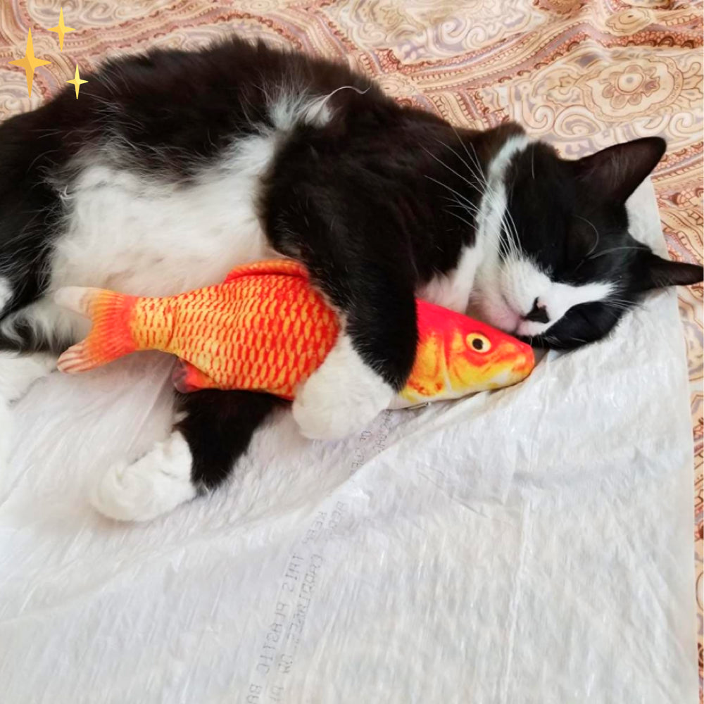 4 stycken flytande fiskleksaker för katter - Aktivitetsset