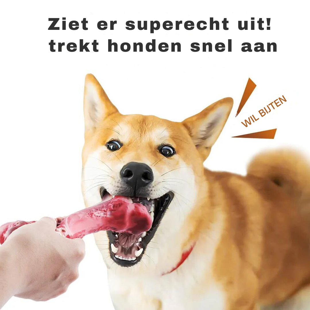 Legesyge Tandplejer til Hunde – BuddyChew