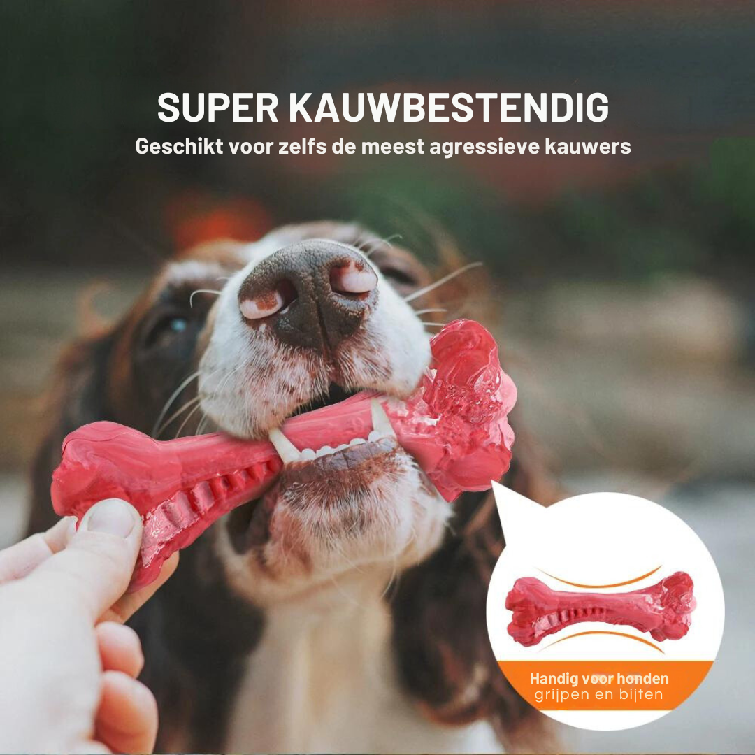 Legesyge Tandplejer til Hunde – BuddyChew
