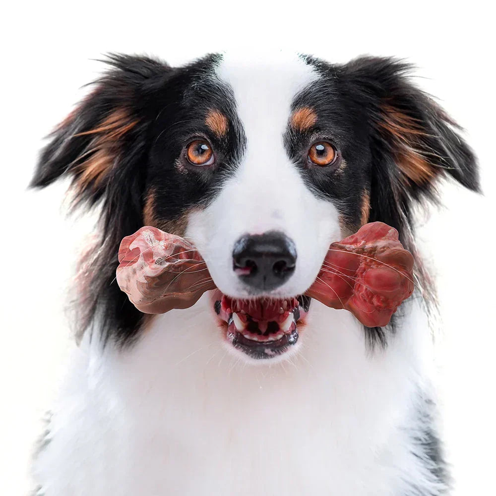 Legesyge Tandplejer til Hunde – BuddyChew