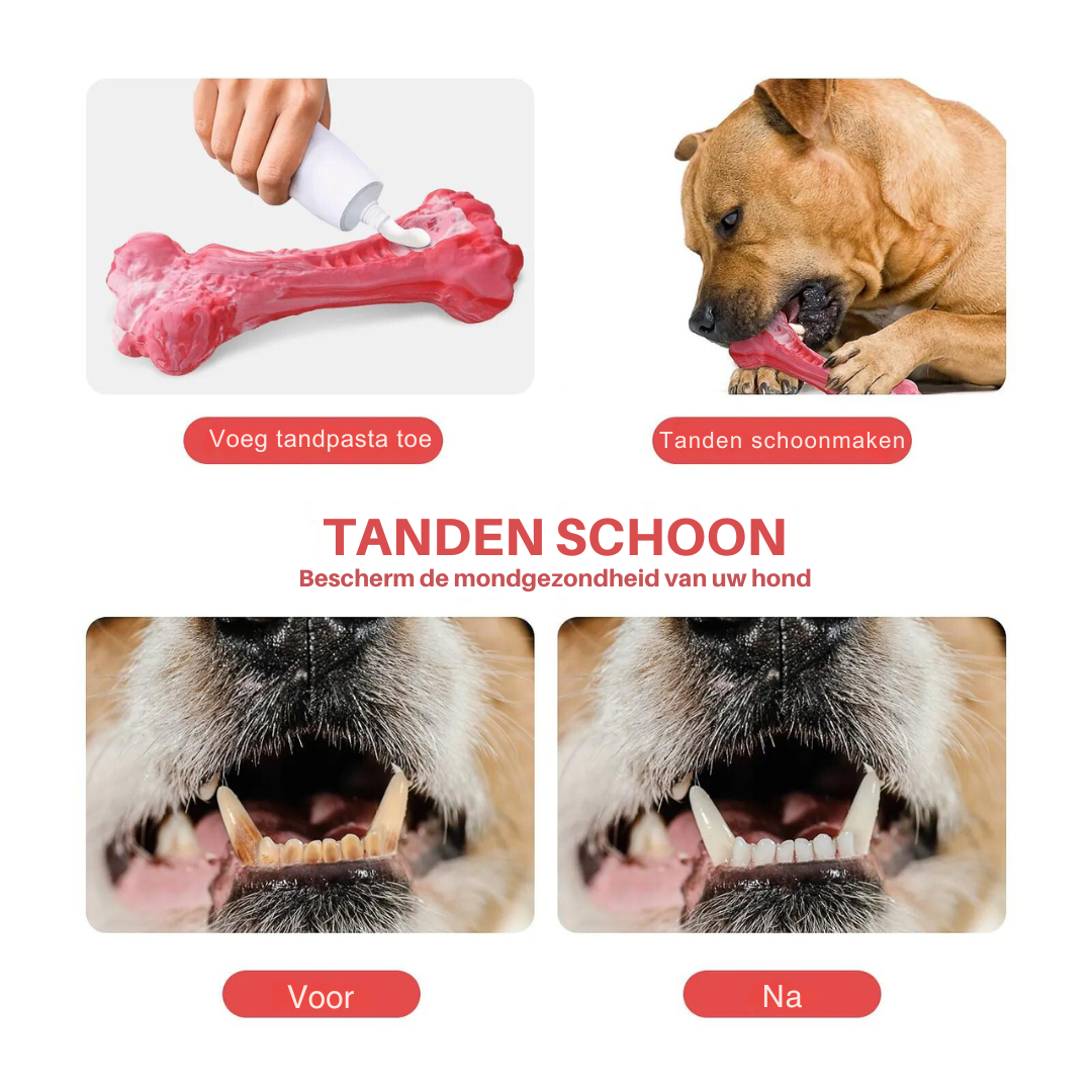 Legesyge Tandplejer til Hunde – BuddyChew