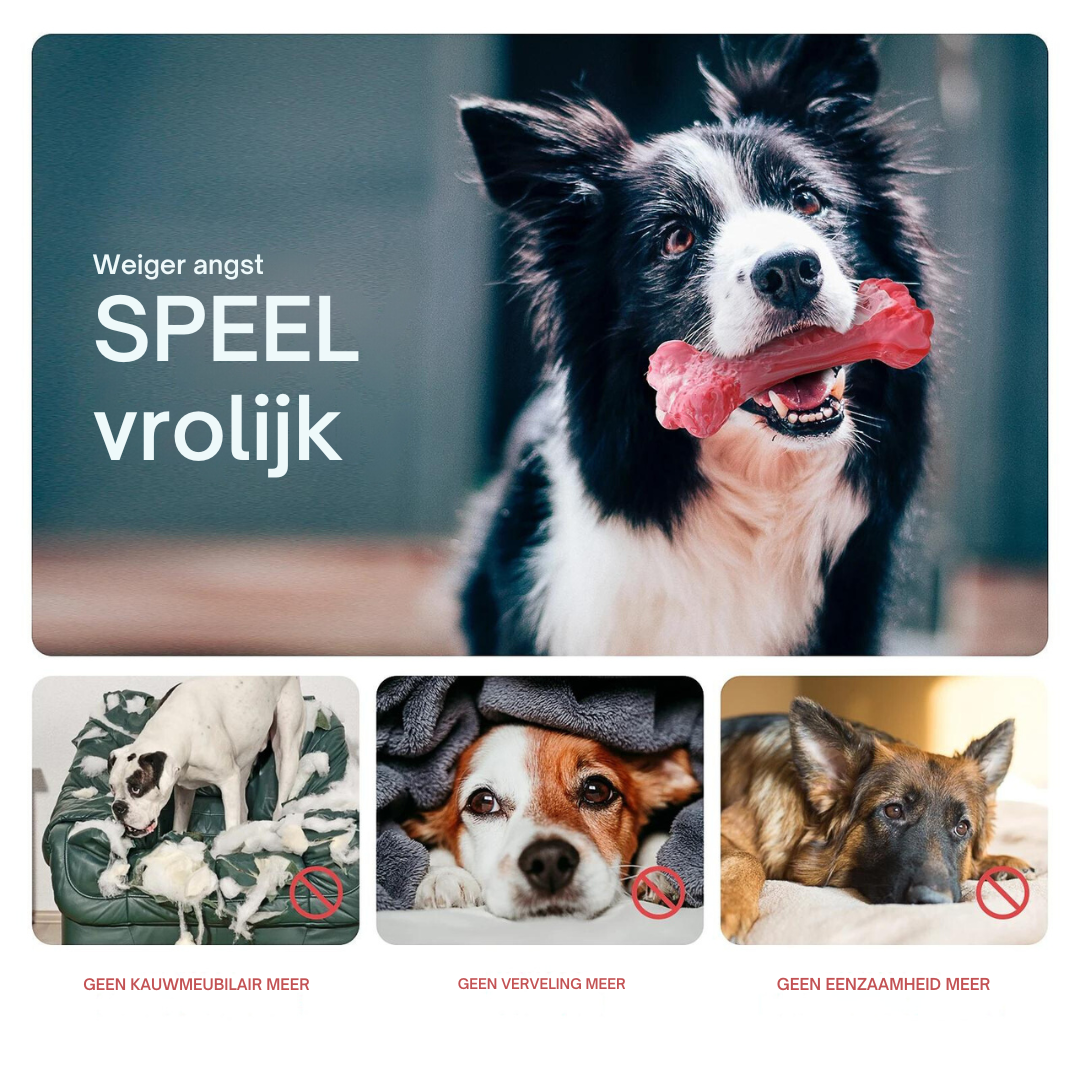 Legesyge Tandplejer til Hunde – BuddyChew