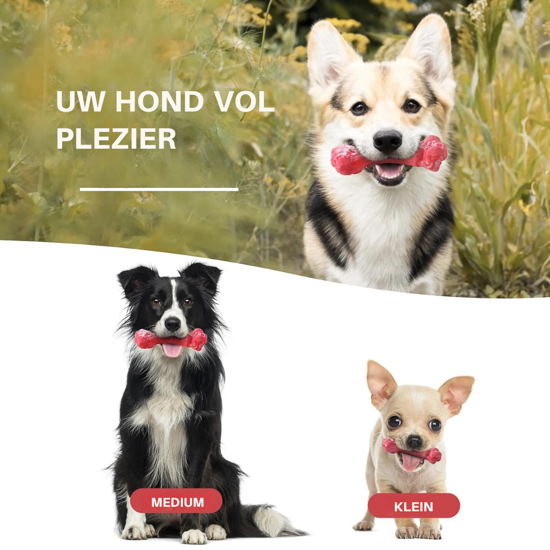 Legesyge Tandplejer til Hunde – BuddyChew