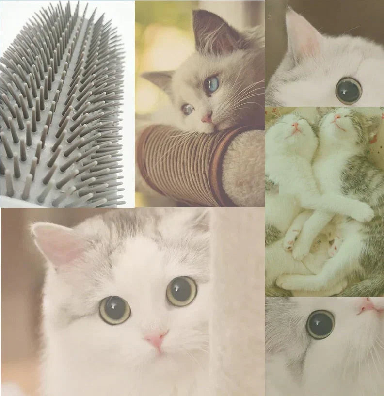 Kattens hjørnebørste til egenpleje