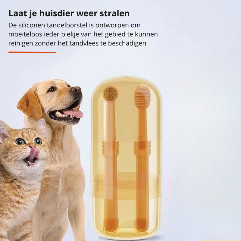 Hundetandbørste – Professionel pleje af din hunds tænder