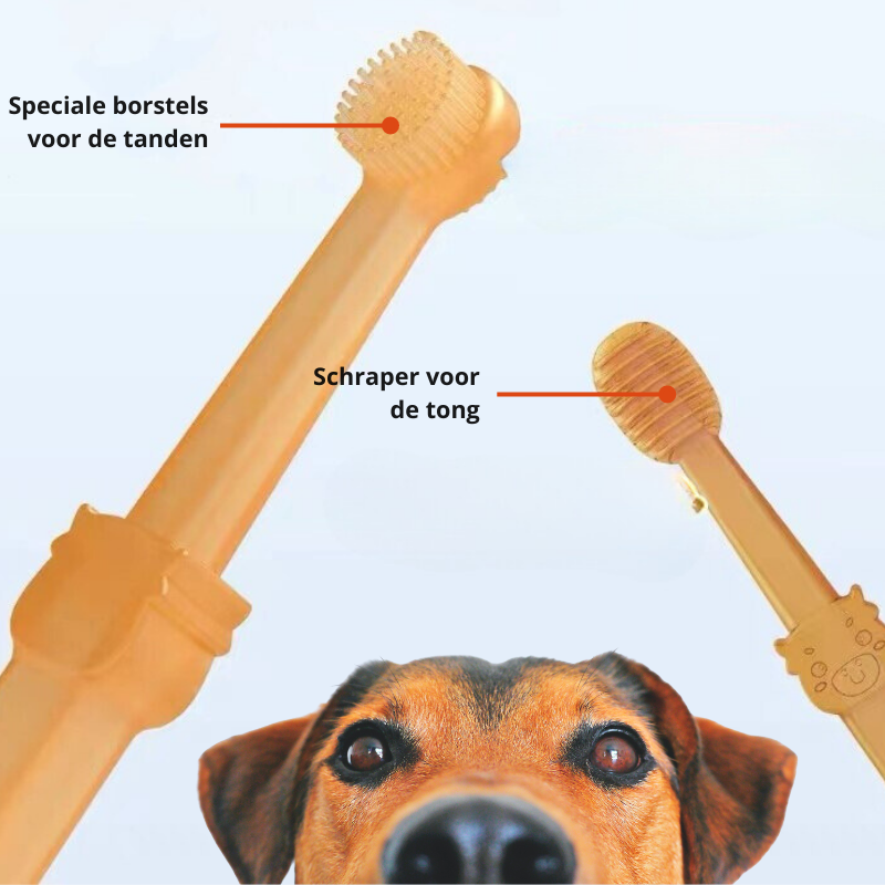 Hundetandbørste – Professionel pleje af din hunds tænder