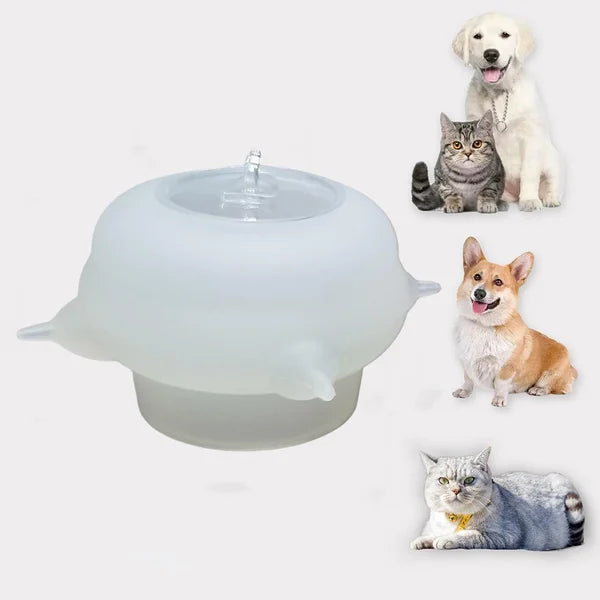 Kompakt skål til kattekillinger - KittySip