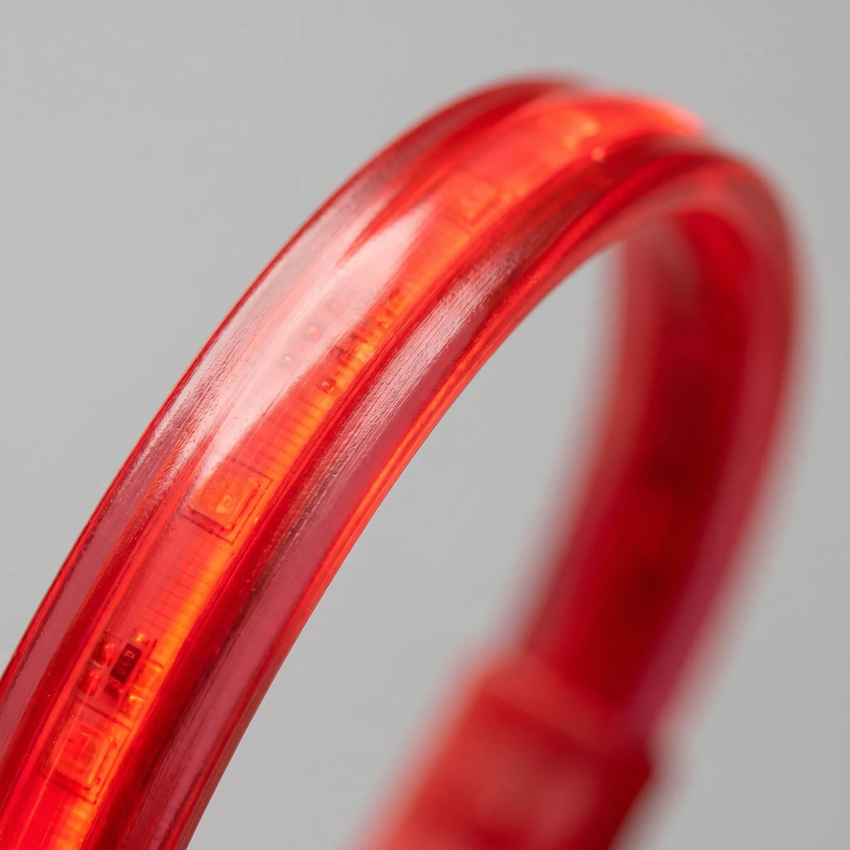Reflekterande Halsband till Hundar - Ljuseffekt