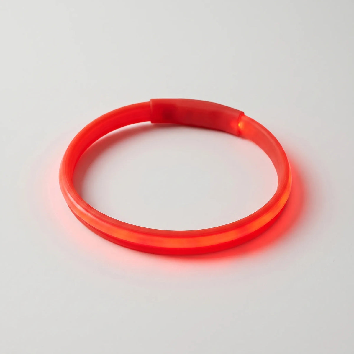 Reflekterande Halsband till Hundar - Ljuseffekt