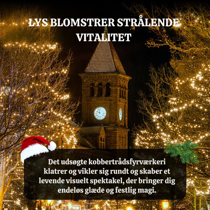Energibesparende LED Lyskæde med 8 Lysindstillinger, IP44