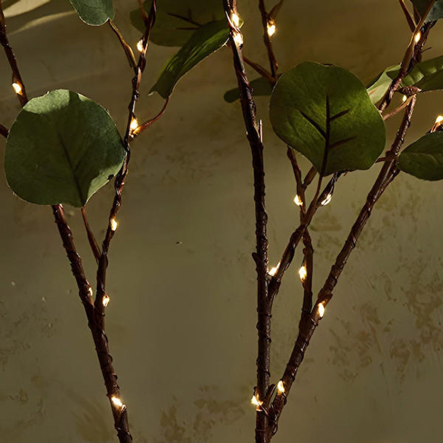 Illuminér Dit Hjem med Smukke Olivengrene