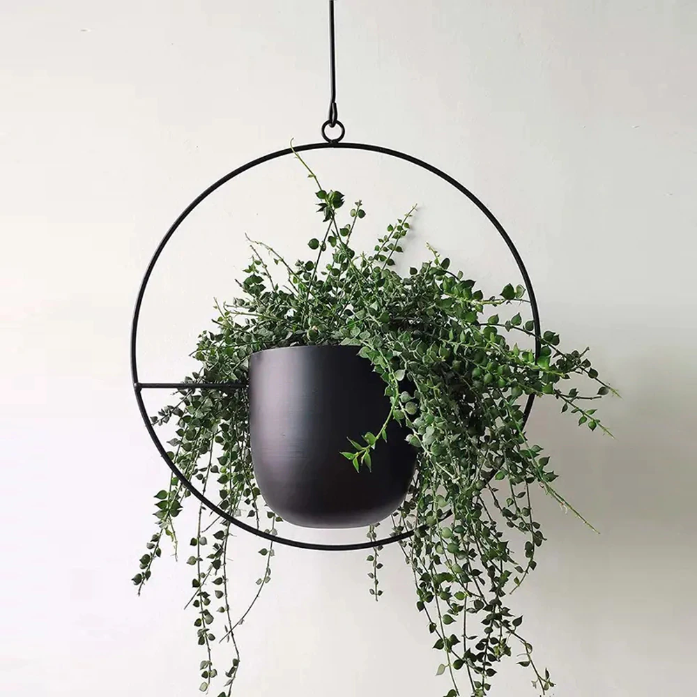 Moderne Hængende Planter til Dit Hjem