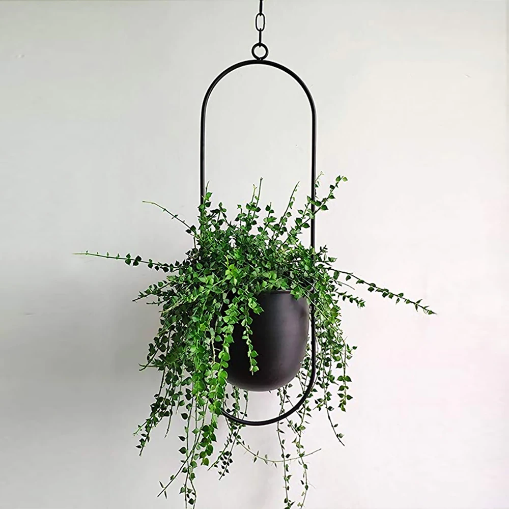 Moderne Hængende Planter til Dit Hjem